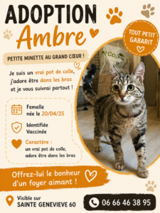 Photo — Proposition adoption — AMBRE