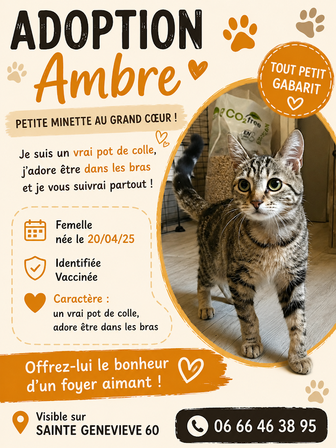 Photo — Proposition adoption — AMBRE