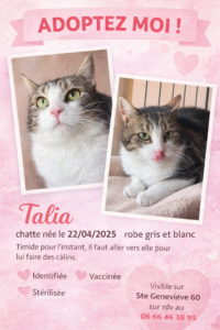 Photo — Proposition adoption — TALIA